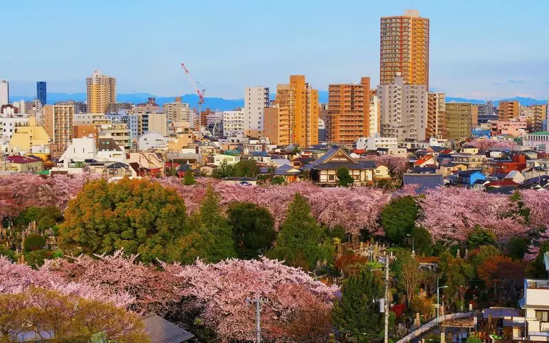 ヒルズ本駒込山の手台の売却・購入の仲介手数料最大無料。中古マンションの口コミと評判 | 不動産仲介手数料無料機構公式サイト｜イエフリ