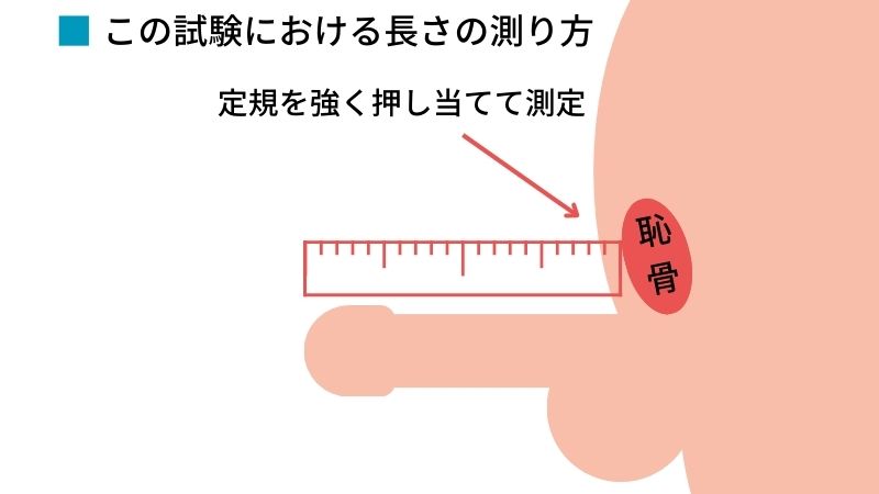 日本人の平均ペニスサイズ（通常時と勃起時）は○○cm！ – メンズ形成外科