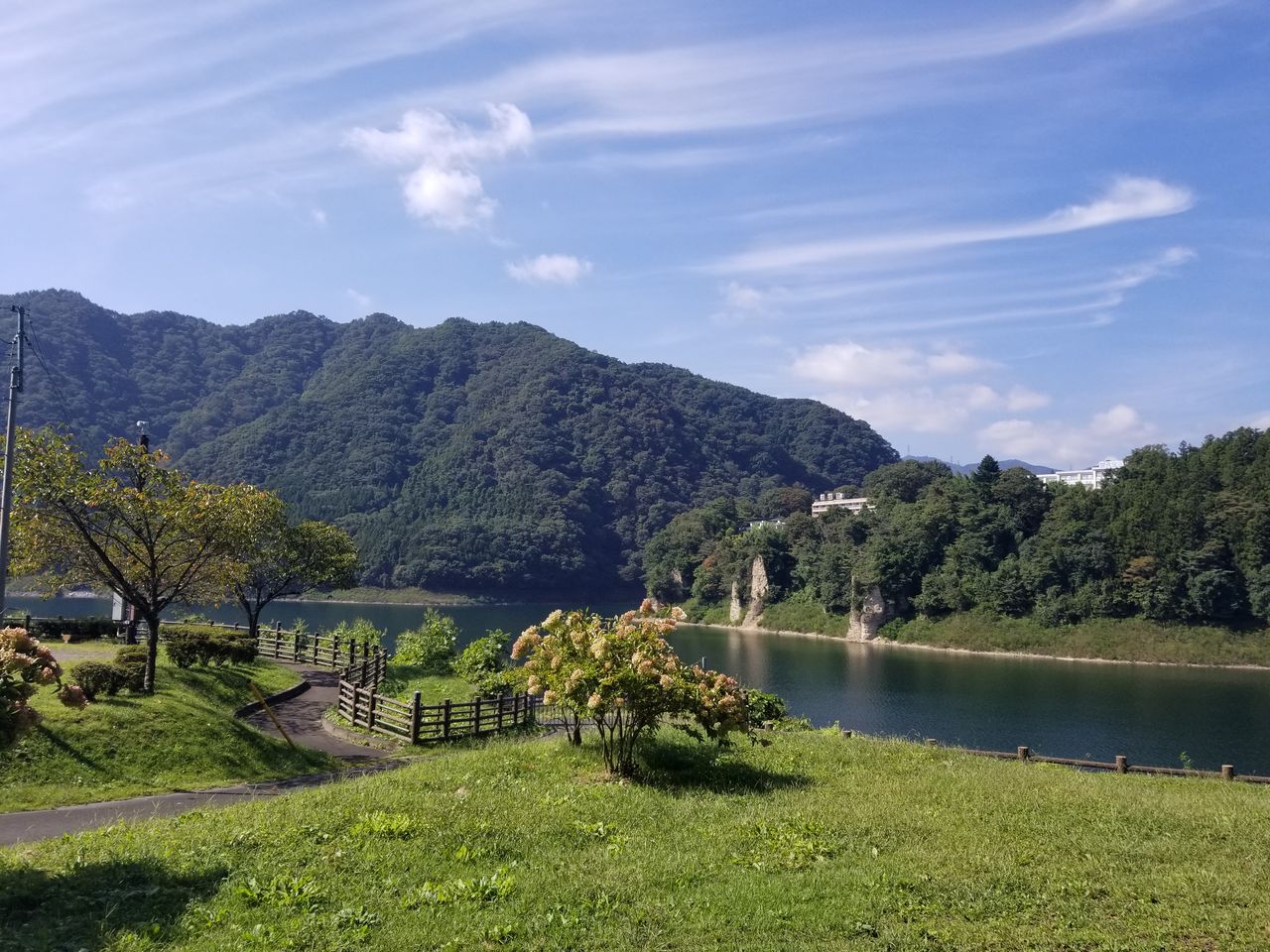 福富町「焼肉太田」「バー曇天」に行く - 盛り場放浪記