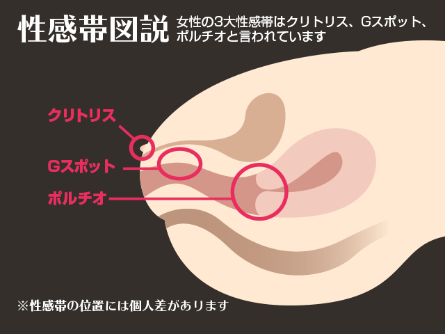 女性の史上最高の快感ウテルスセックスのやり方【図解】 | セクテクサイト