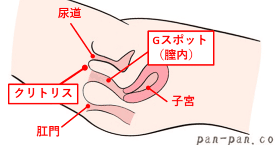 全男性必見】しみけんのセックステクニック3選！ | ゼロから始めるヤリチン生活