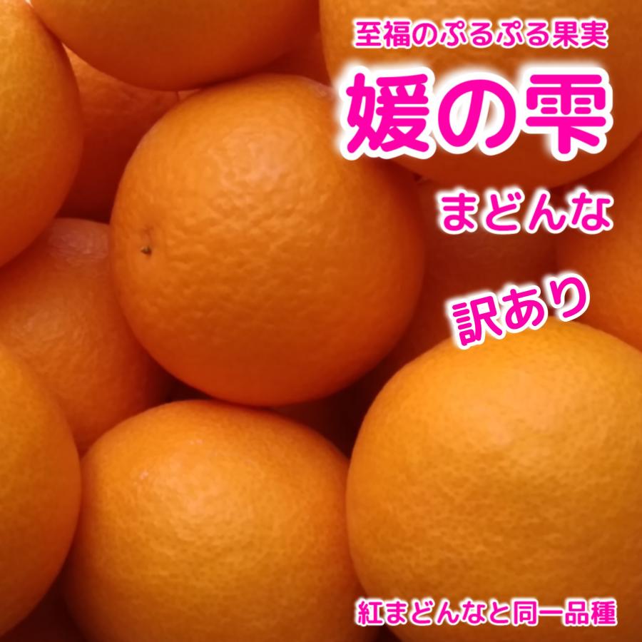 飲むゼリー 柑橘の雫 みかん30個入り : 189253