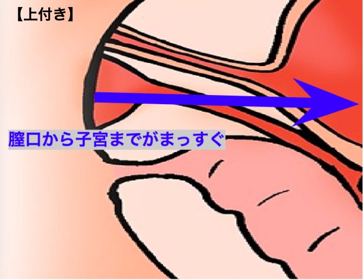 下付きとは？下付きの女性がオーガズムに達しやすい体位4選｜風俗求人・高収入バイト探しならキュリオス