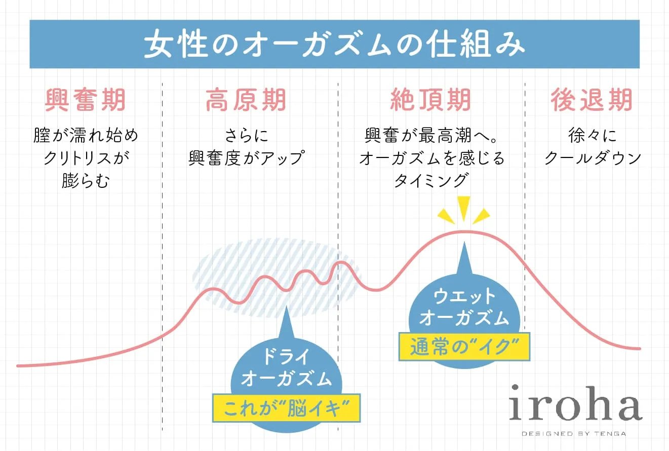 ドライオーガズム解体新書 - ドライオーガズムマニュアル本通販｜大人のおもちゃ通販大魔王