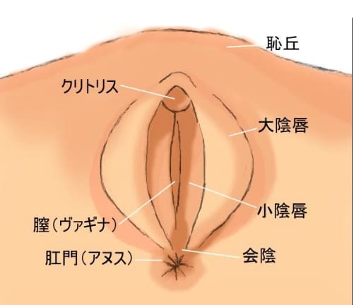 彼氏との初エッチは付き合ってどのくらいでするのが理想？