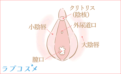 性交体位はどんな種類がある？体位を変えるメリットとは - 藤東クリニックお悩みコラム