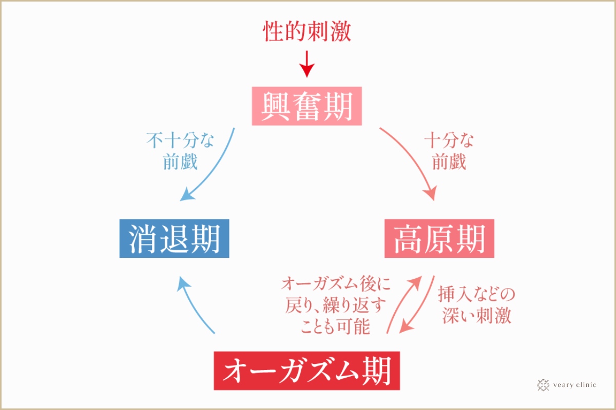 セックスで挿入できなくても大丈夫！女性が気持ち良くなれる方法【中高年向け】_勃つのが難しい・固くならない・挿入でイケない