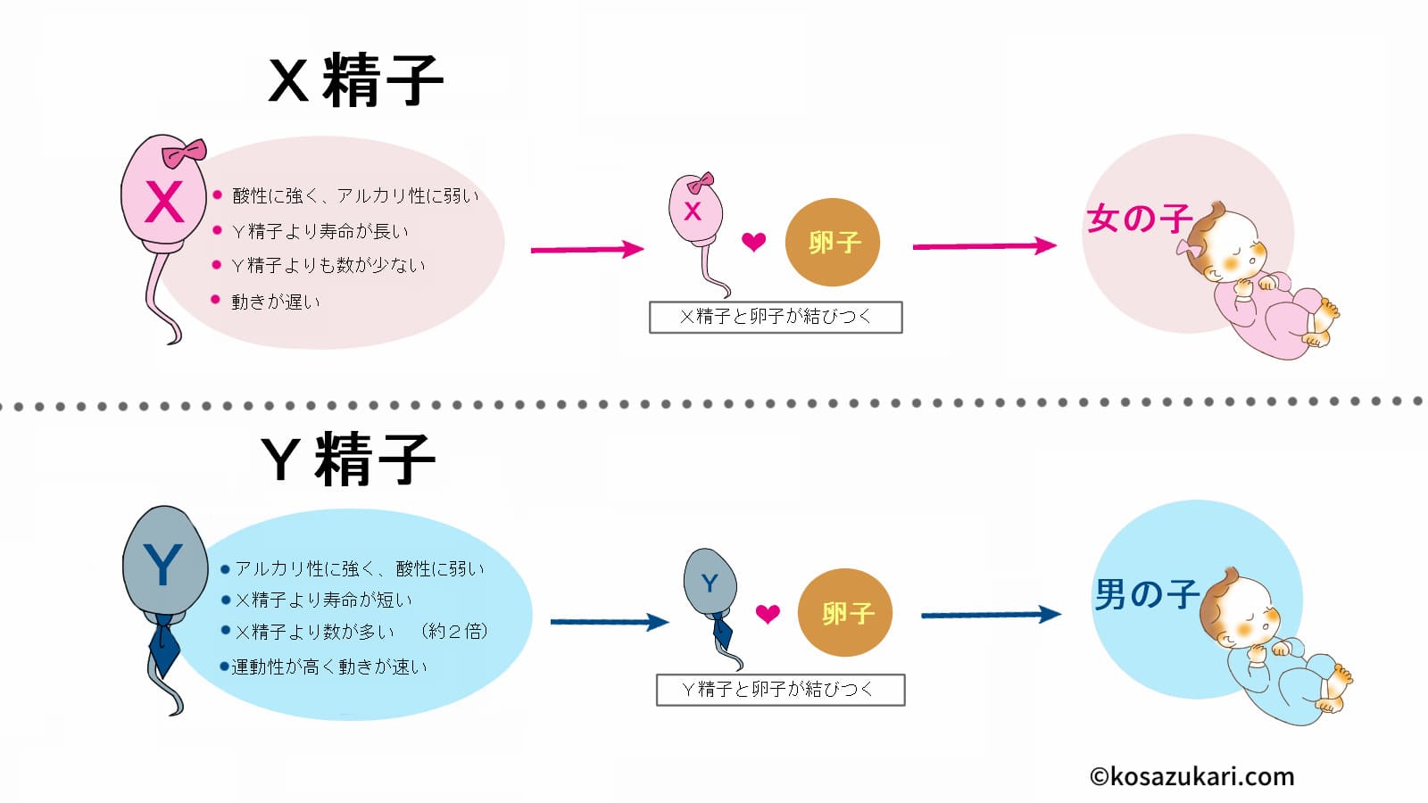 妊活、仕事、お金のやりくりに追い詰められた私。 でも、ラストの受精卵は万全の状態で戻したい！【子宝漢方・一陽館薬局の授かり体験談】 | 