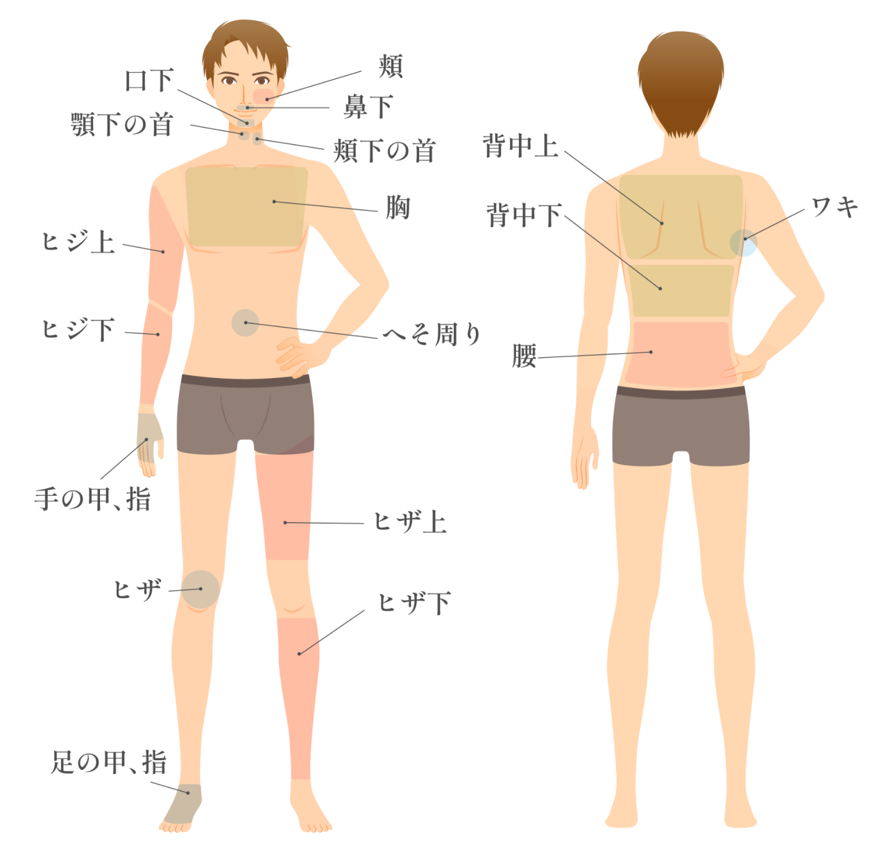 12月最新】山武市（千葉県） エステの求人・転職・募集│リジョブ