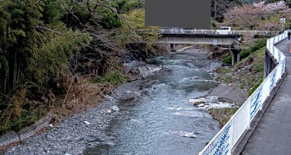 入間川・石原橋観測局ライブカメラと雨雲レーダー/埼玉県飯能市原市場