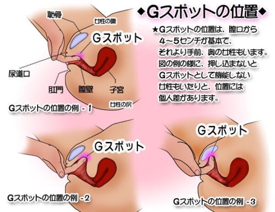 マンネリ化も解消？ 究極のセックスの体位45選