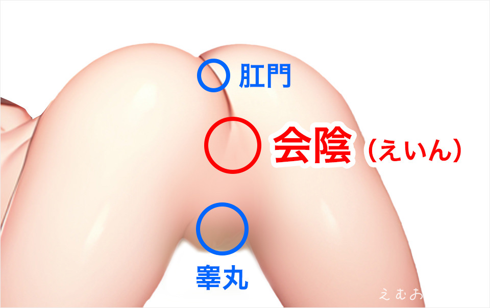 MAPARON アナルプラグ アナル開発