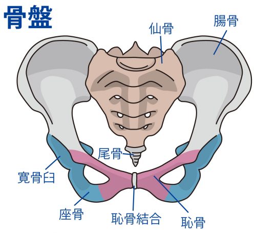 性感帯とは？女性の感じやすい場所や開発法 - 夜の保健室