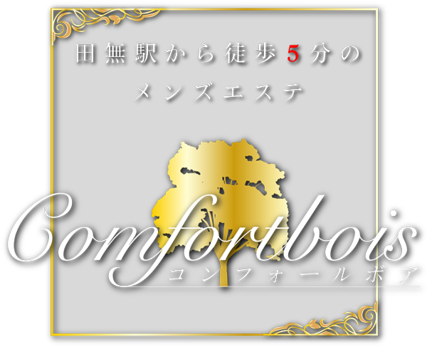 池田マッサージ|西東京・田無メンエス情報なら【メンズエステLabo】