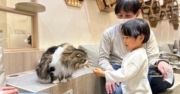 平塚市 大人も楽しめる 子供の遊び場・お出かけスポット(室内・屋内) |