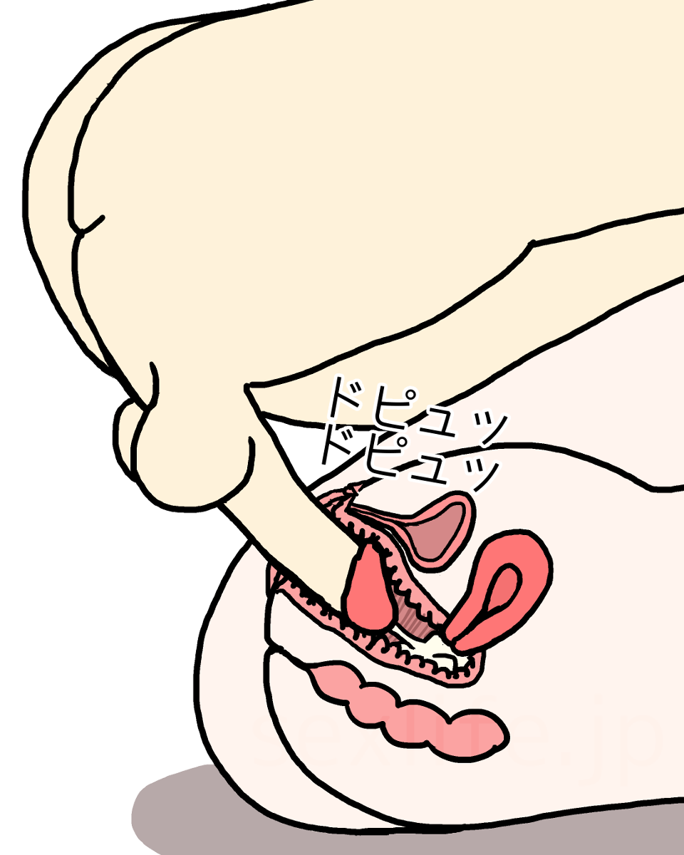 中イキしやすい体位5選 | 腟ペディア（チツペディア）