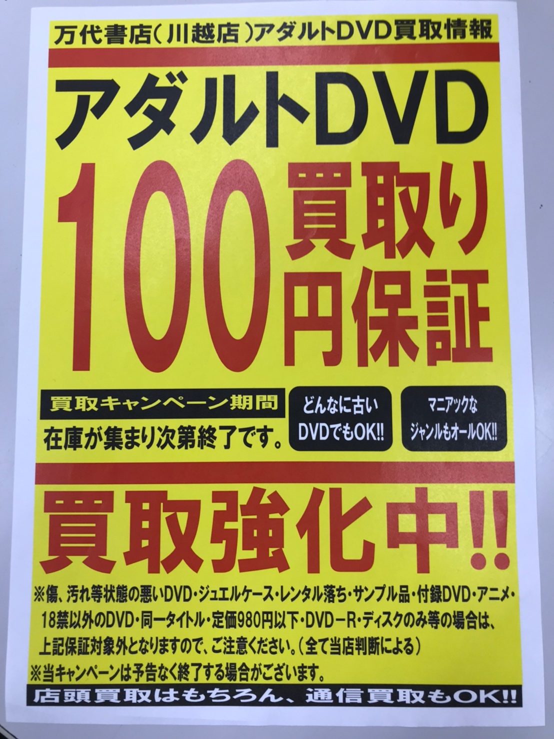 快楽で瞳トロける天性のモテSEX 新人NO.1STYLE 川越にこ