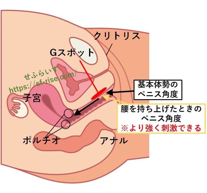 本当に気持ちいい正常位のやり方を画像と動画で徹底解説！体位のバリエーションや練習方法も紹介【快感スタイル】