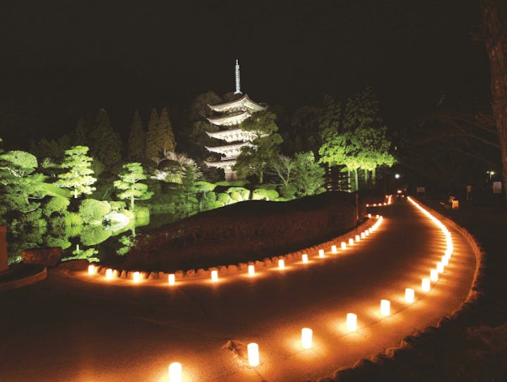 山口県山口市の神社のお祭りをパフォーマンスで盛り上げる山口ゆめ花大道芸の皆さん！ | 山口ゆめ花大道芸