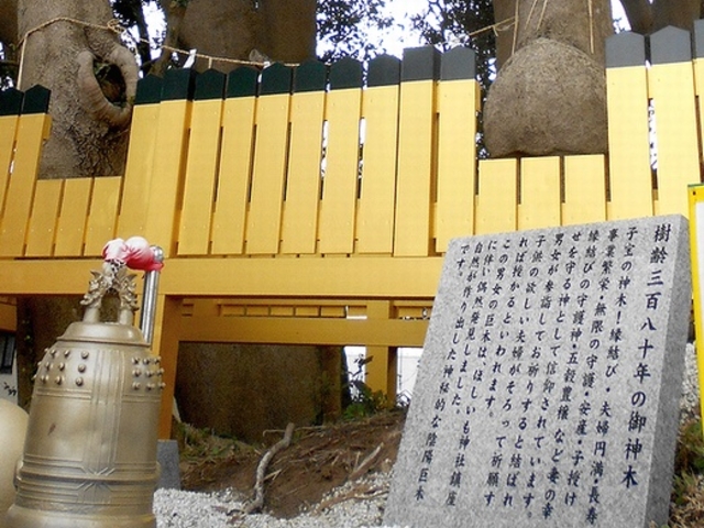 印旛姫之宮│佐倉市臼井田 | 千葉まほろば神社