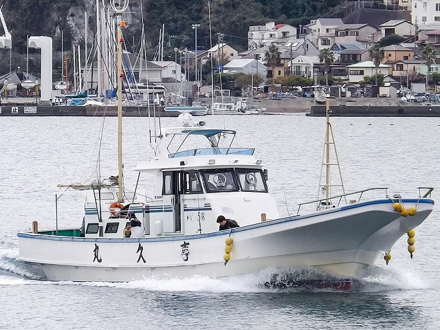 2024/11/15 きくしん丸（きくしんまる）の釣果です[宮城荒浜漁港] 釣りTiki東北 釣果速報