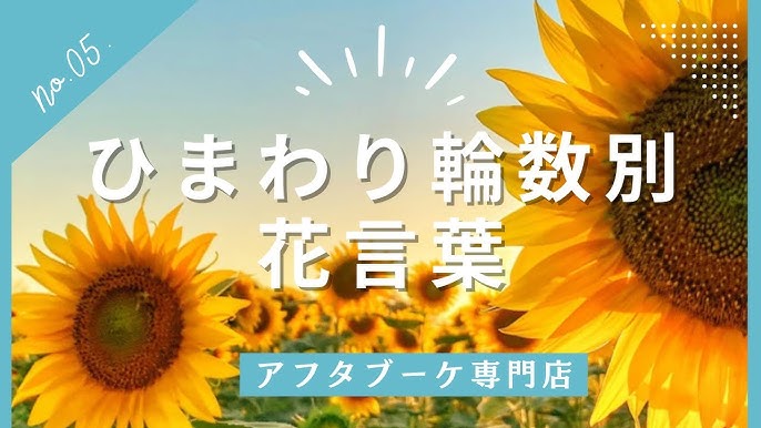 劇団ひまわり | 鳴海竜明・境葵乃 テレビ朝日「ゴーちゃん。Lab.」に出演！