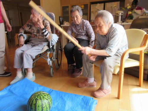 ほとばしる果汁とシャリ感！富里スイカ - ふるさと探訪 |