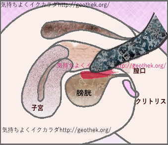 楽天ブックス: 初中出しからメチャメチャ感じる敏感っ子「アソコがバカになっちゃう～!」潮吹きマ〇コに即挿入!潮と精子のコラボレーション! 咲田ラン -