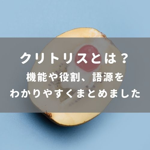 クリトリスの場所はどこ？構造・役割と快感を感じるためのいじり方 | Ray(レイ)