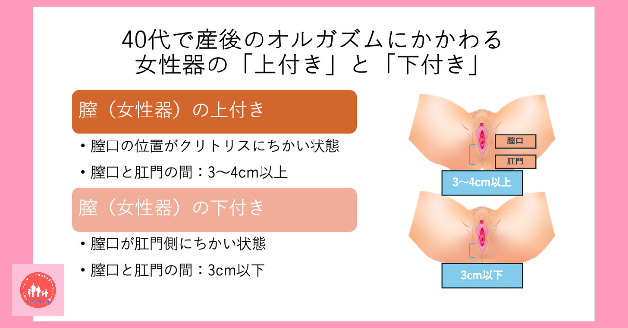 膣の上付き・下付きとは？感じ方の違いや判別方法、おすすめ体位を解説 | WOLO