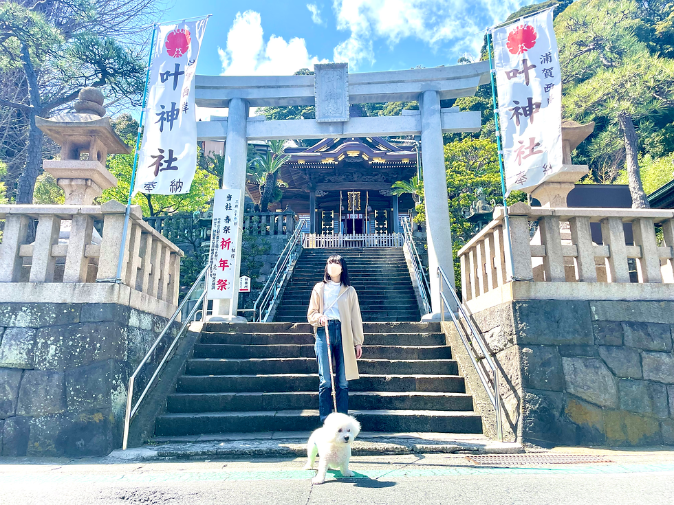 東神奈川駅周辺の神社・神宮・寺院ランキングTOP10 - じゃらんnet