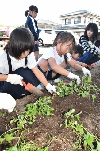 吉野川市の人気風俗店一覧｜風俗じゃぱん