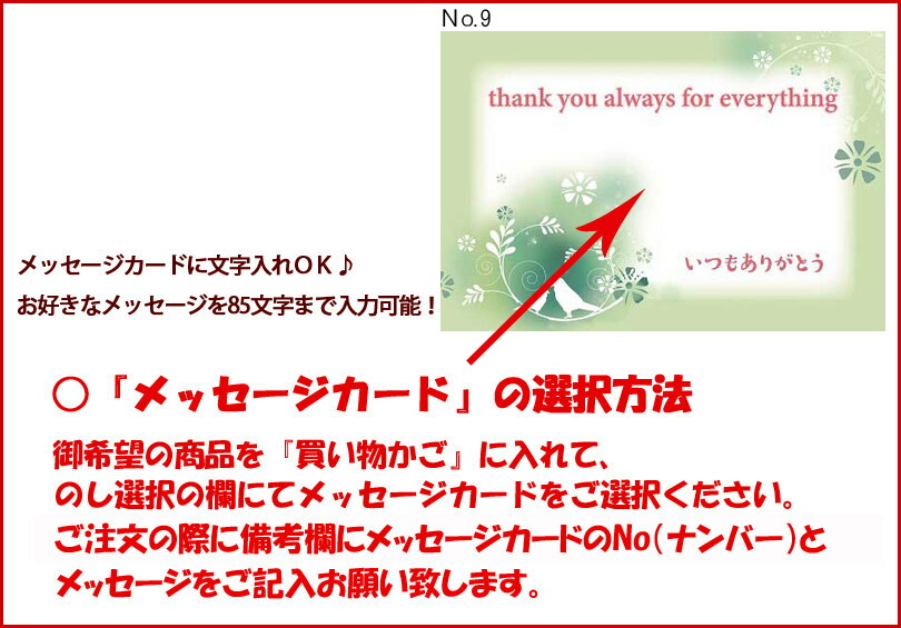 送料込＞おっぱい・おちんちん・Ｈしたくなるチョコレート 《各2個セット計6個》 常温発送 同梱可です 義理チョコ