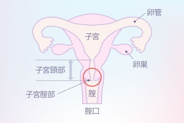 女性が中イキしやすくなる方法やコツからできない原因まで解説 | コラム一覧｜ 