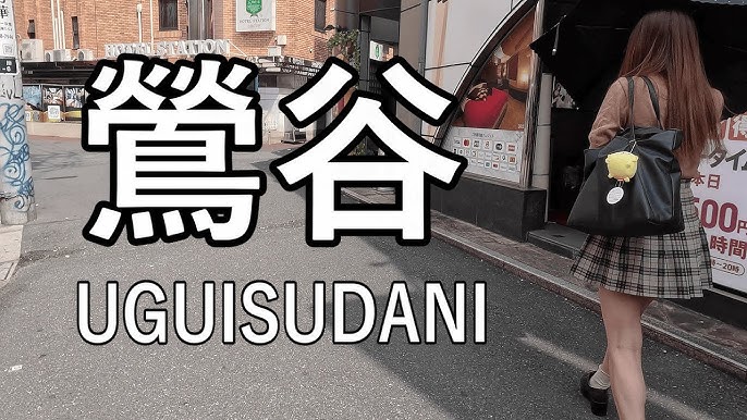 上野に用事があって、お昼はアメ横のタイ屋台料理屋「メーアン」でカオマンガイ(鶏飯)1400円。うまかった😋 食後は上野公園を通って鶯谷 。途中で国立科学博物館の鳥展を覗くと休日で賑わっている。友人がやっているので、見に行きたかったけど、平日にする。鶯谷の萩の湯 