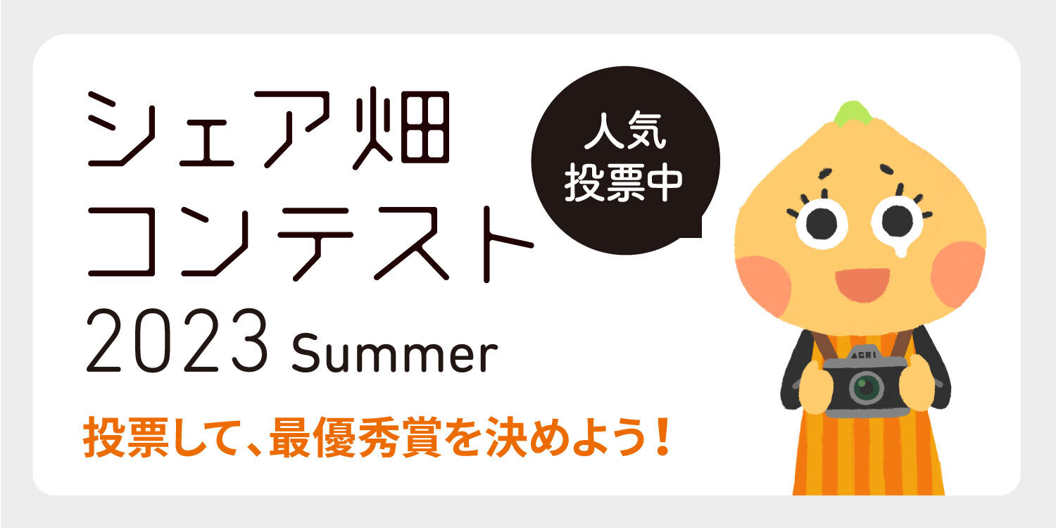 豊橋の本番できるデリヘル７選！基盤、NS・NN情報や口コミも【2024最新】 | 風俗グルイ