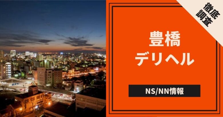 豊橋・豊川・蒲郡の風俗人気ランキングTOP45【毎日更新】｜ぬきなび