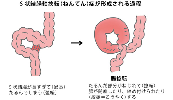 メスイキ特集 おんなのこにしてあげる】お尻を弄られ、感じて悶えて…「いれてほしい？」と熱いモノをあてられて…!! - まんが王国