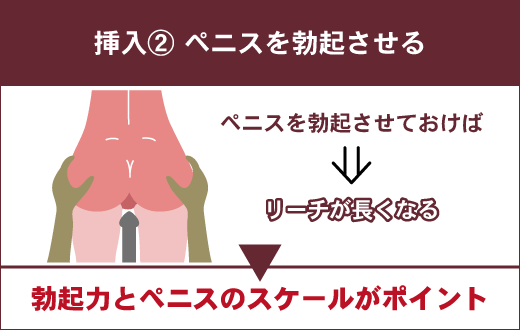 セックスでバックから挿れるやり方！超気持ちいい腰の振り方と突き方 | Men's Chinchi