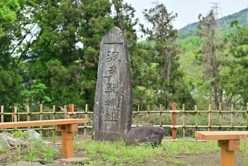 波多野城跡（永平寺町） 連続する竪堀群必見 ふくいの山城へいざ！（１４） |