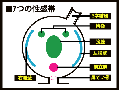 性感帯とは？女性の感じやすい場所や開発法 - 夜の保健室