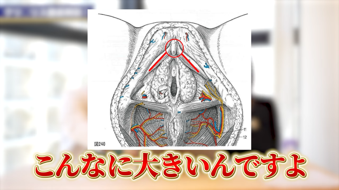 性感帯とは？女性の感じやすい場所や開発法 - 夜の保健室