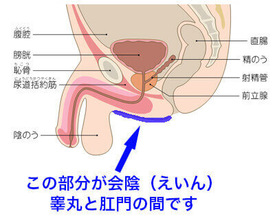 まんがで解るドライオーガズム クリアランス