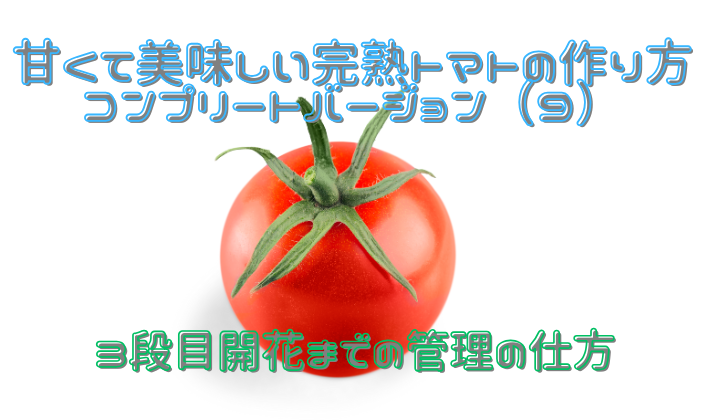 クノール®贅沢野菜®」完熟トマト | 食品 |