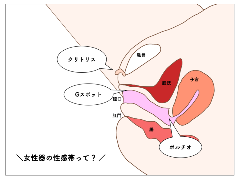 セックスが痛い！」を軽減する、おすすめの体位とは？ 実践方法を婦人科医が解説 | ランドリーボックス