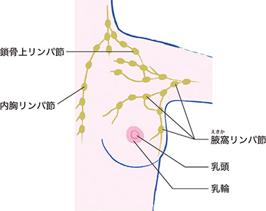 mgs品番491tkwa 267のav女優名は!？ 素人さんの - 卑猥