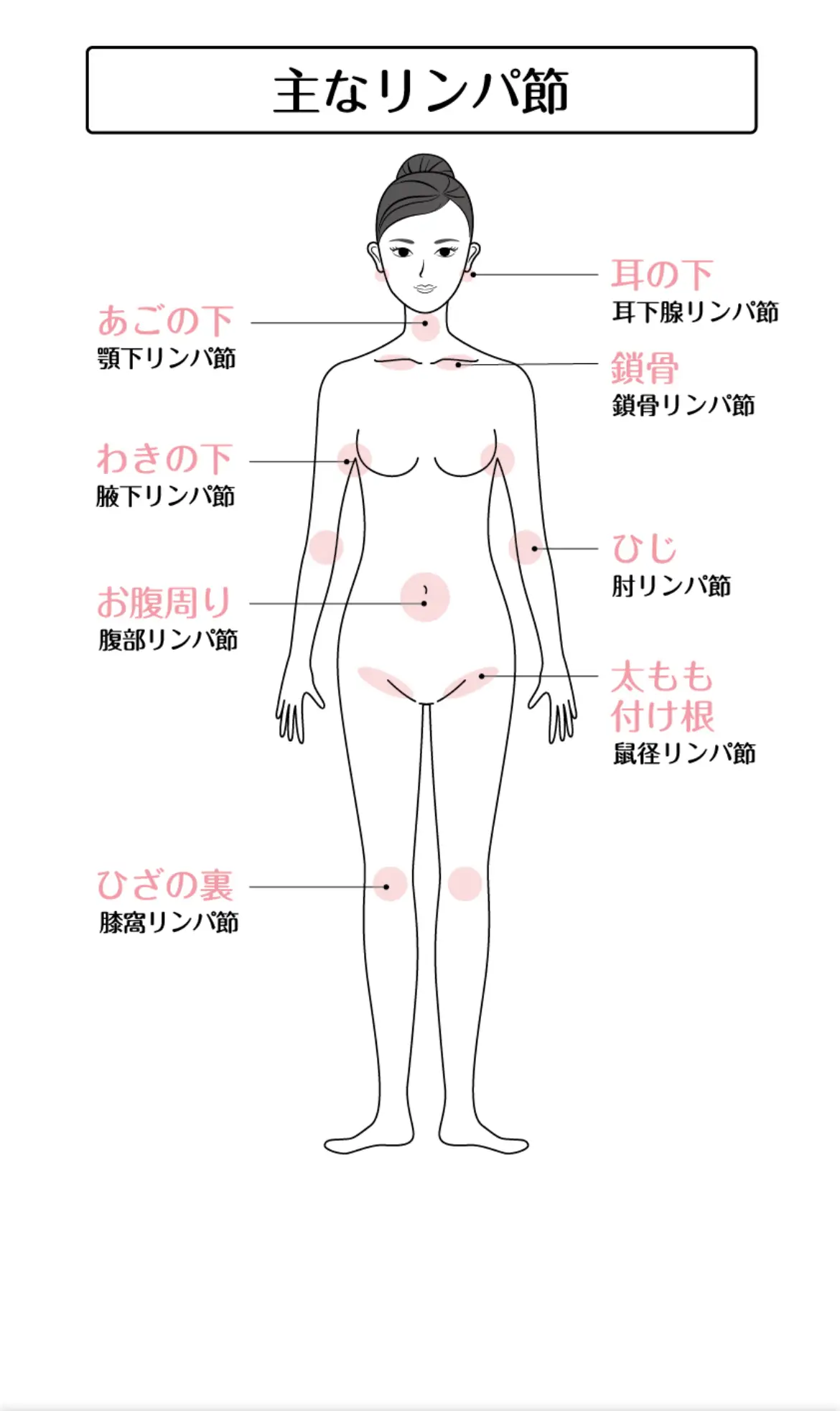 髪が増える 頭深部リンパマッサージ 2024年5月29日発売 | 株式会社西東社のプレスリリース