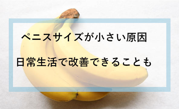 日本人のペニスサイズ調査～長さと太さの相関性 | 男性生殖器マニア