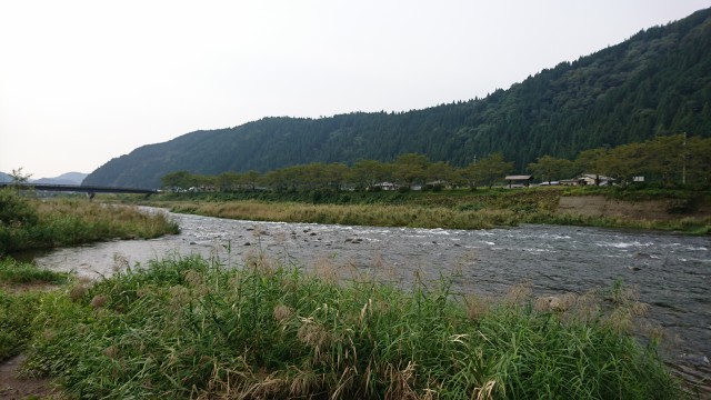 2024年 鮎釣りメモ | だてっちわーるど