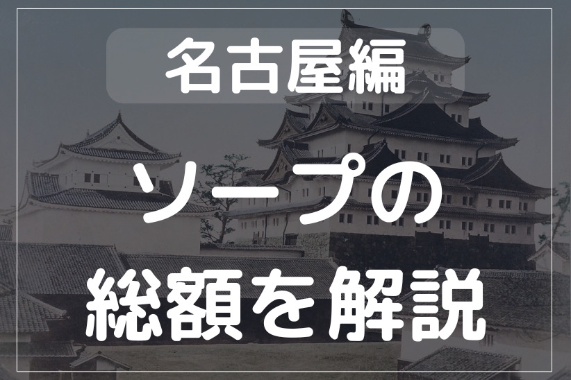 体験談】金津園のソープ「ViVi（ヴィヴィ）」はNS/NN可？口コミや料金・おすすめ嬢を公開 | Mr.Jのエンタメブログ